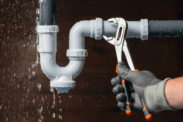 Professional Emergency Plumber technician working in Holiday, FL